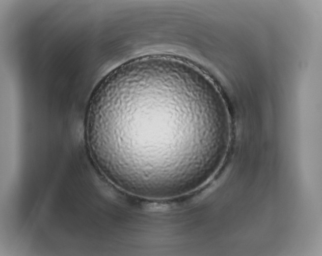 X0000112161505200908141224