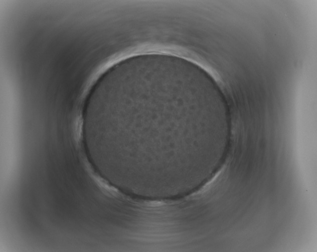 X0000112161507200908141224