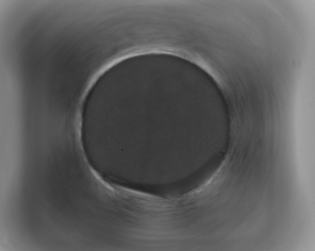 X0000112161508200908141224