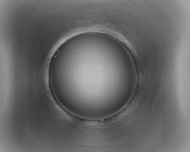 X0000112161512200908141224