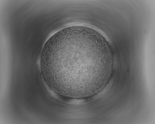 X0000112161513200908141224