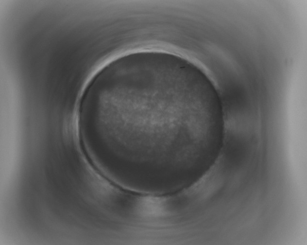 X0000112161514200908141224