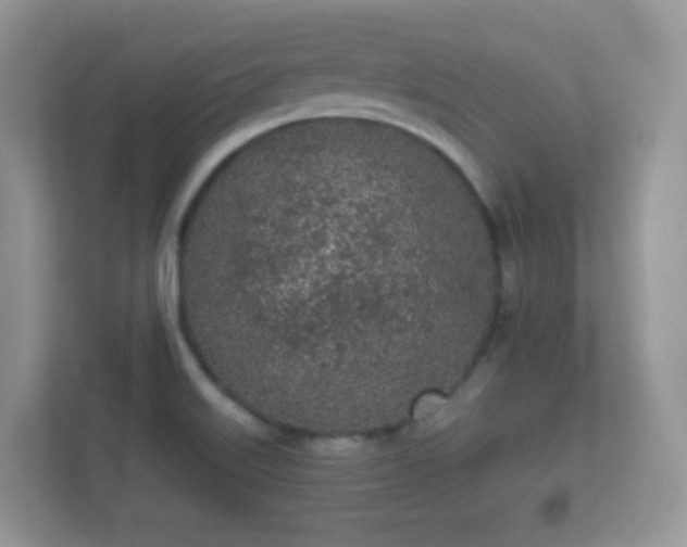 X0000112161515200908141224