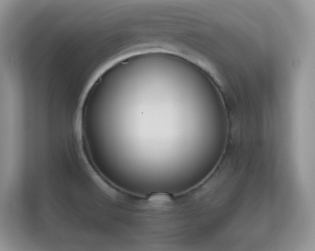 X0000112161516200908141224