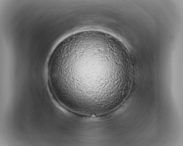 X0000112161519200908141224