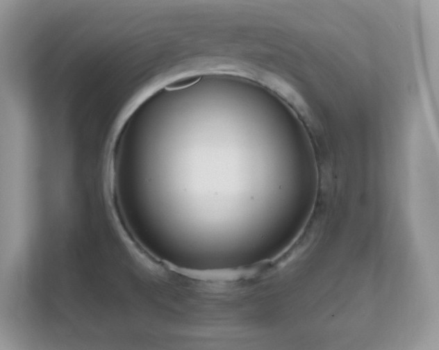 X0000112161520200908141224