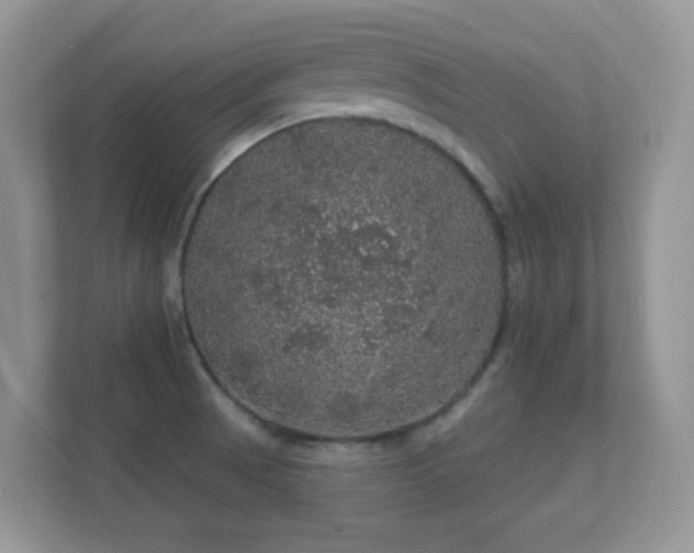 X0000112161521200908141224