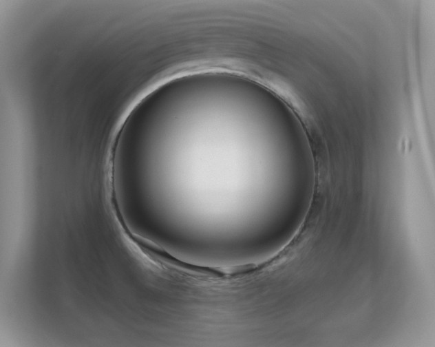 X0000112161524200908141224