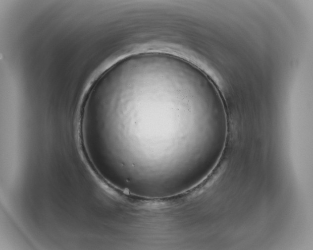 X0000112161525200908141224