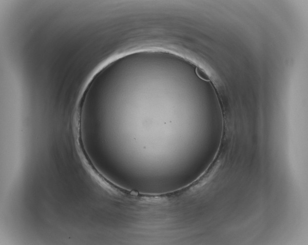 X0000112161526200908141224