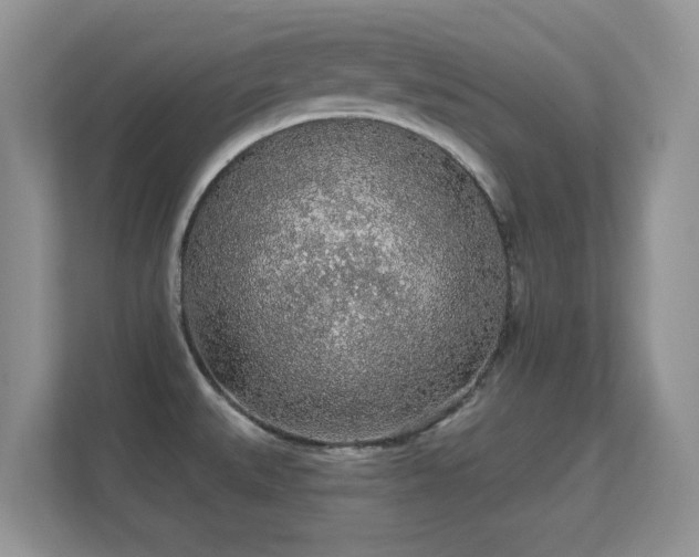 X0000112161527200908141224