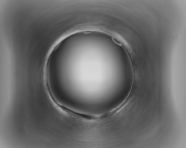 X0000112161528200908141224