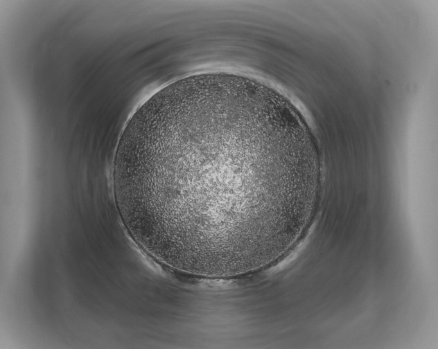 X0000112161529200908141224