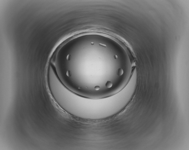 X0000112161530200908141224