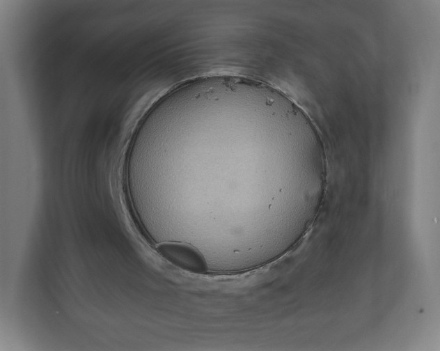 X0000112160001200908211443