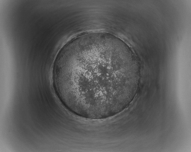 X0000112160002200908211443