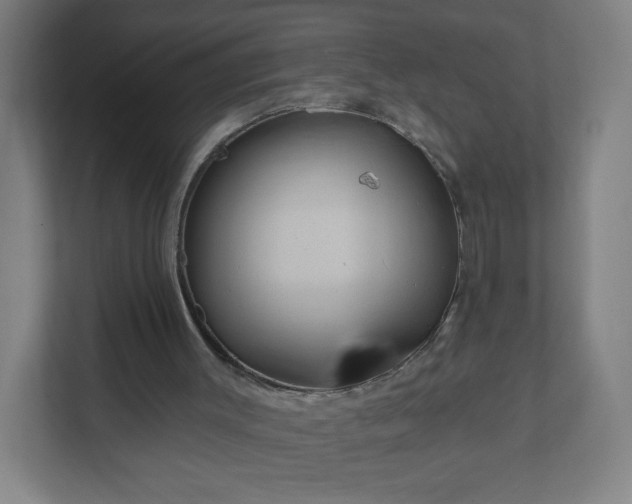 X0000112160003200908211443