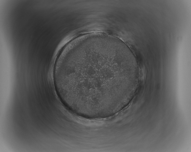 X0000112160004200908211443