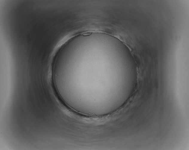 X0000112160005200908211443