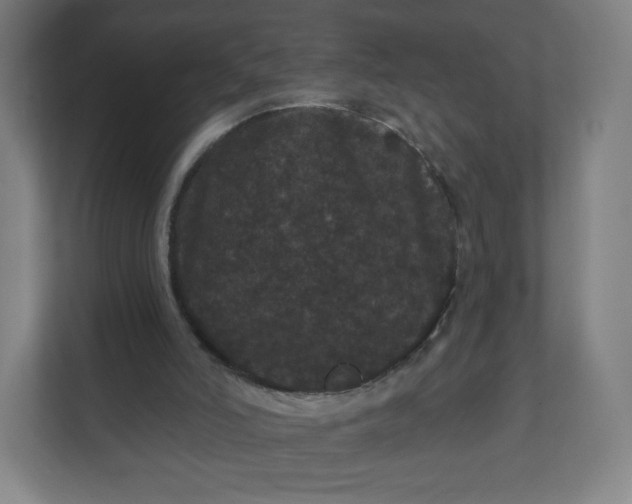 X0000112160006200908211443