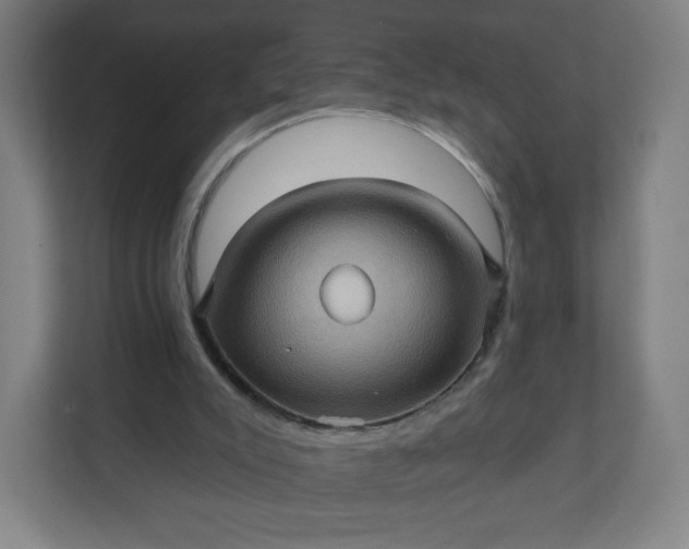 X0000112160007200908211443