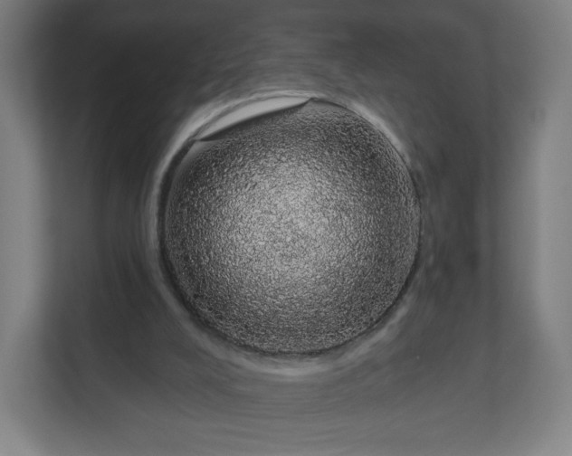 X0000112160008200908211443