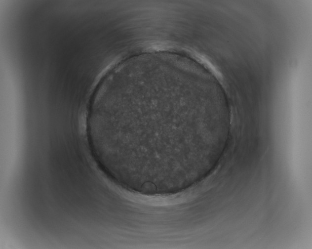 X0000112160010200908211443