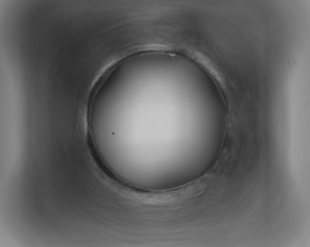 X0000112160011200908211443