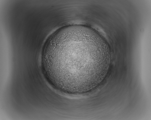 X0000112160012200908211443