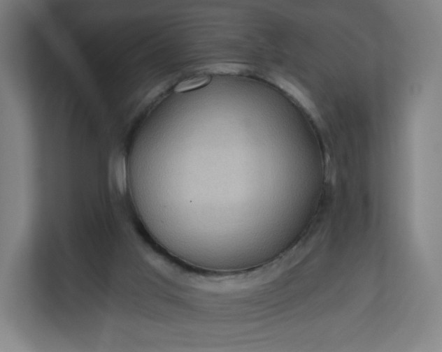 X0000112160013200908211443