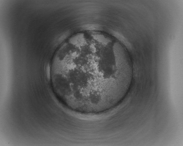 X0000112160014200908211443