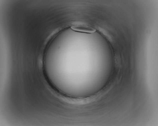 X0000112160015200908211443