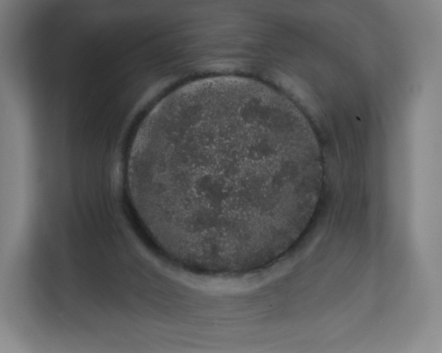 X0000112160016200908211443