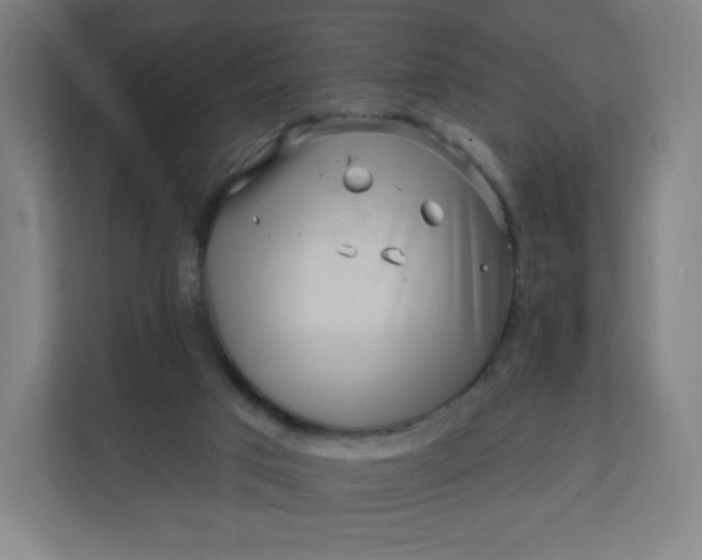 X0000112160017200908211443