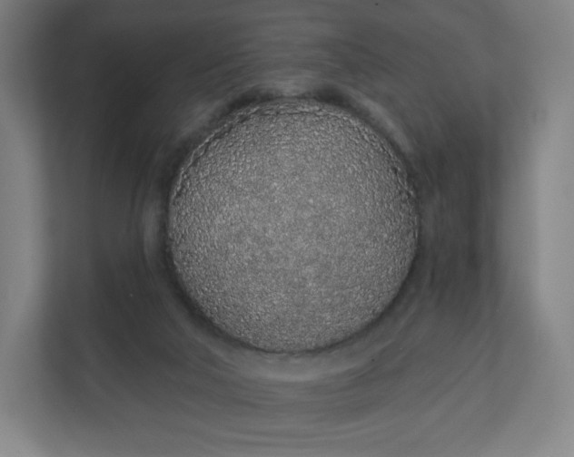 X0000112160018200908211443