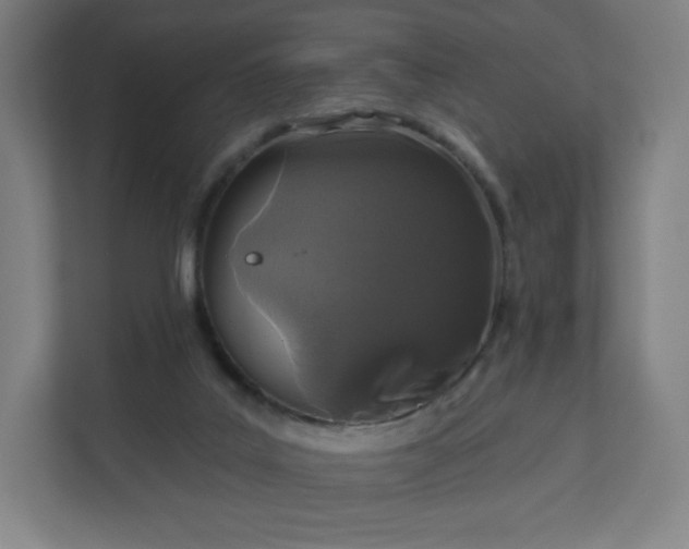 X0000112160019200908211443