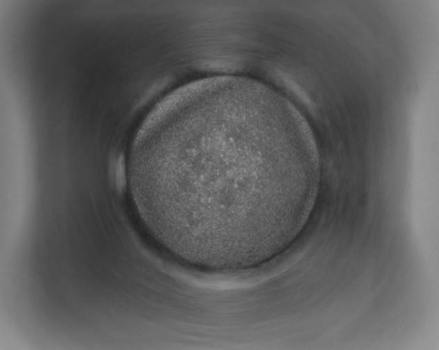 X0000112160020200908211443