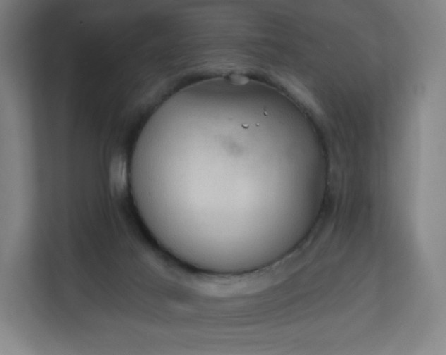 X0000112160021200908211443