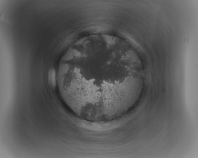 X0000112160022200908211443