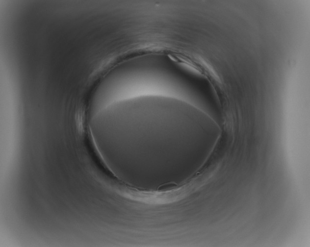 X0000112160023200908211443