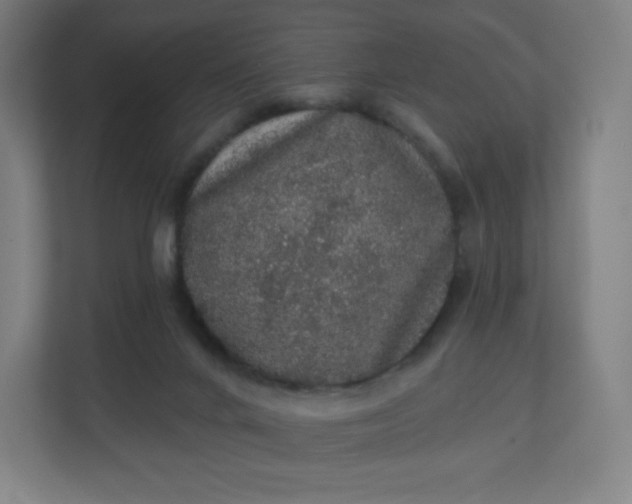 X0000112160024200908211443