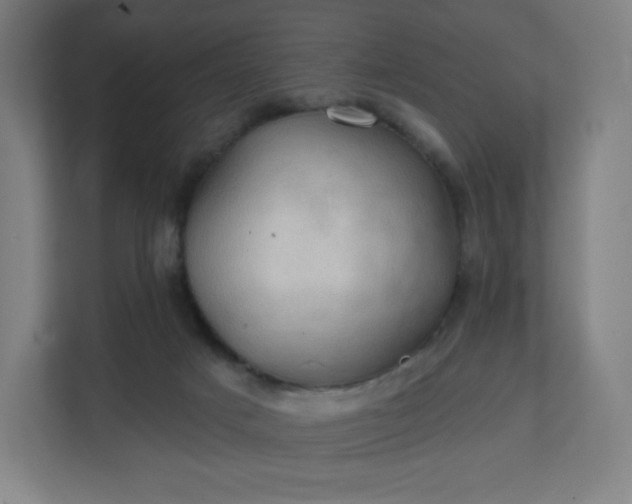 X0000112160025200908211443