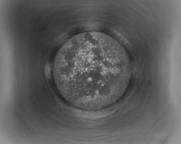 X0000112160026200908211443