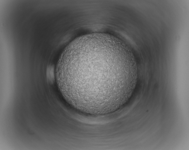 X0000112160028200908211443