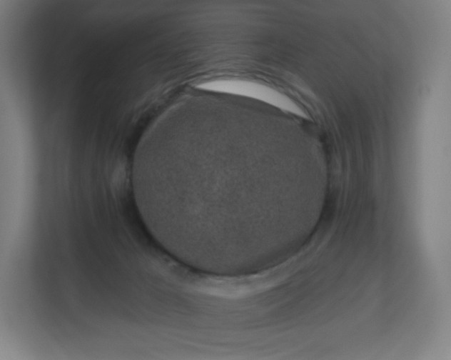 X0000112160029200908211443