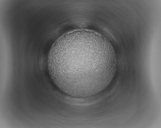 X0000112160030200908211443