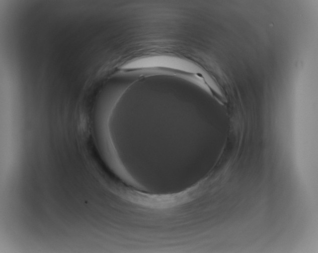 X0000112160031200908211443