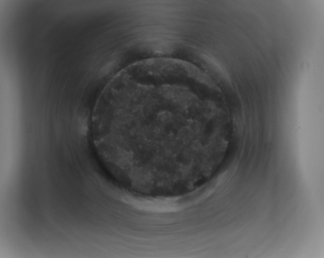 X0000112160032200908211443