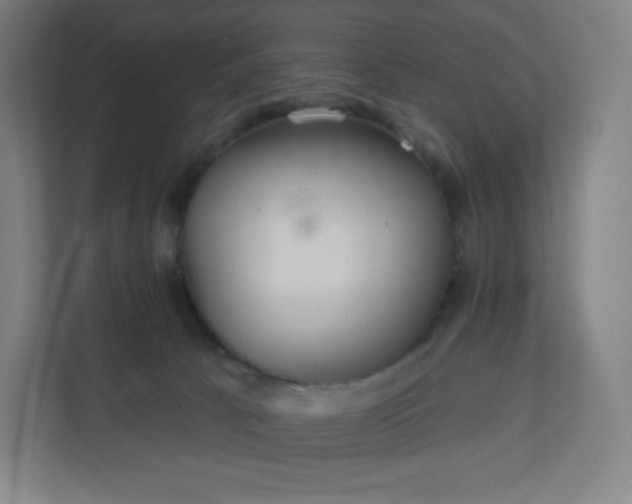 X0000112160033200908211443