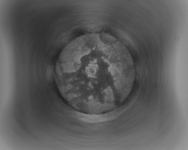 X0000112160034200908211443